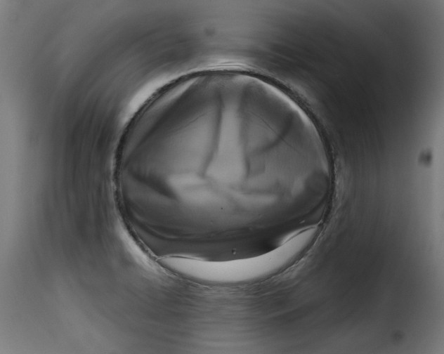 X0000115231422200911201547