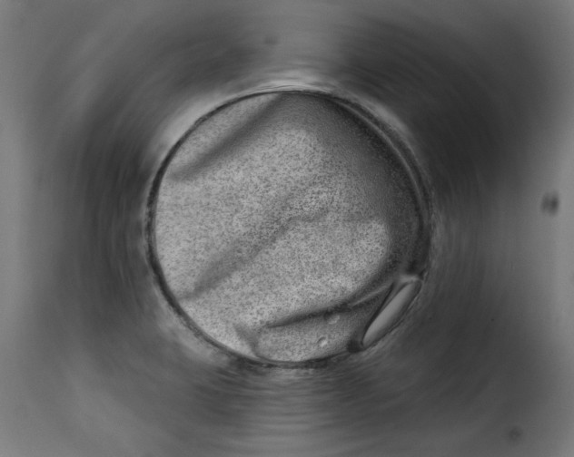 X0000115231423200911201547