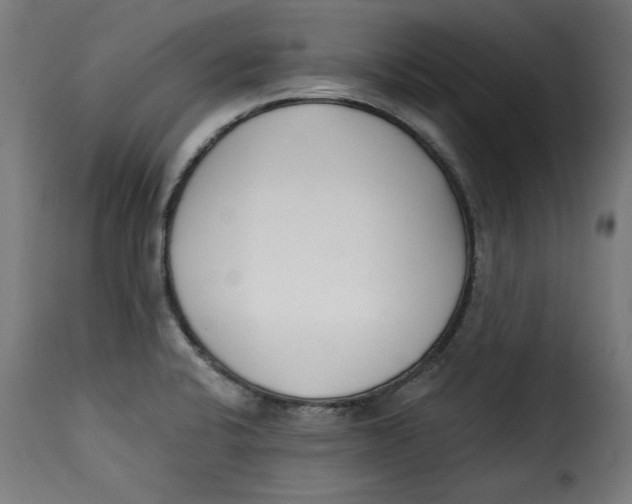 X0000115231424200911201547