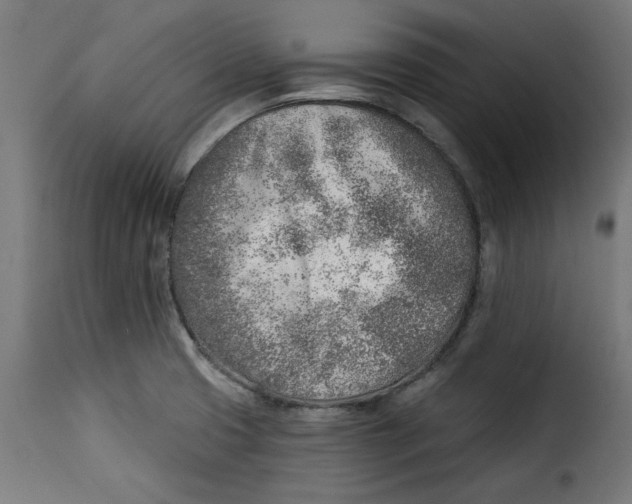 X0000115231425200911201547