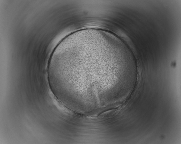 X0000115231427200911201547