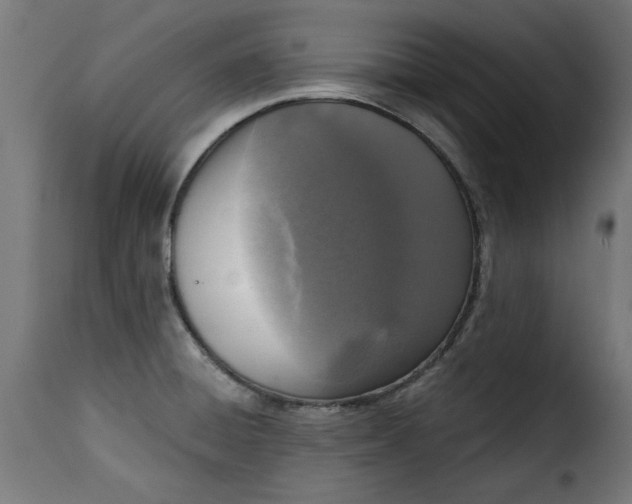 X0000115231428200911201547