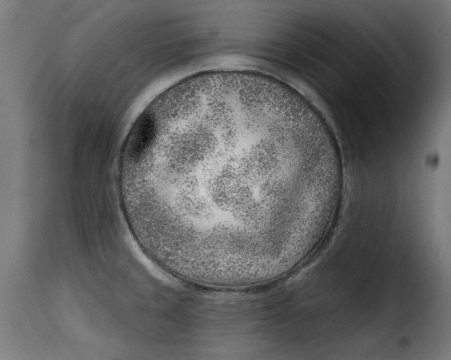 X0000115231429200911201547