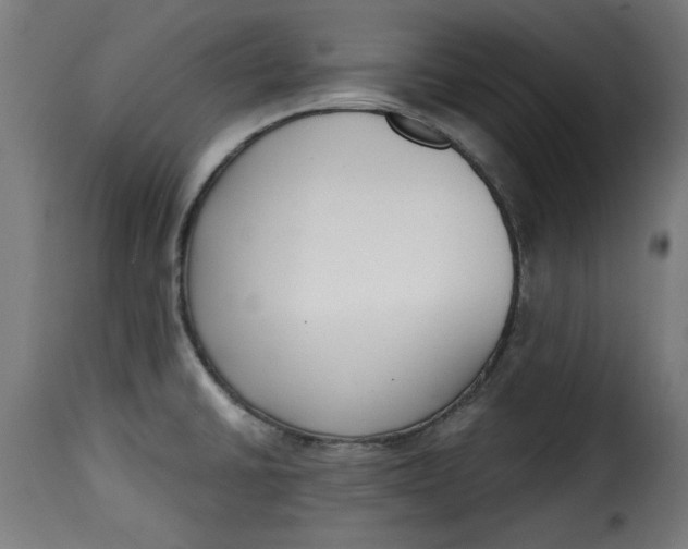 X0000115231430200911201547