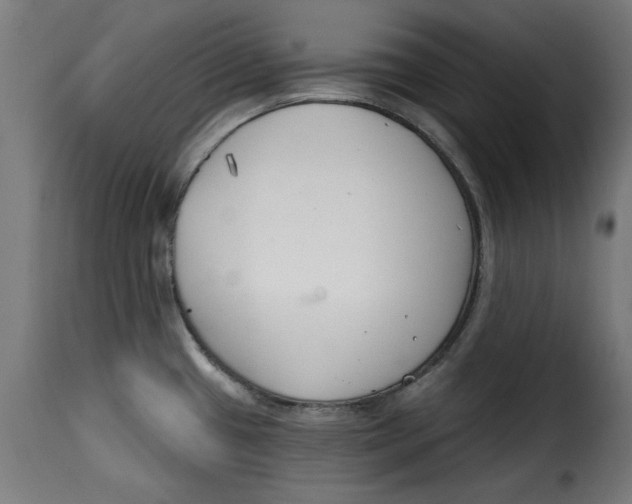 X0000115231433200911201547