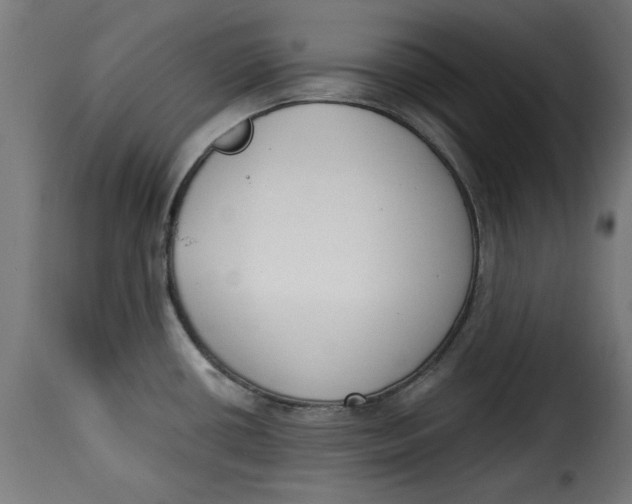 X0000115231434200911201547