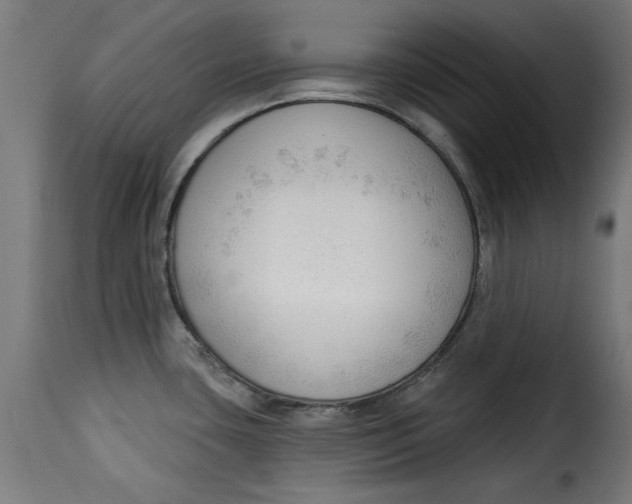 X0000115231435200911201547