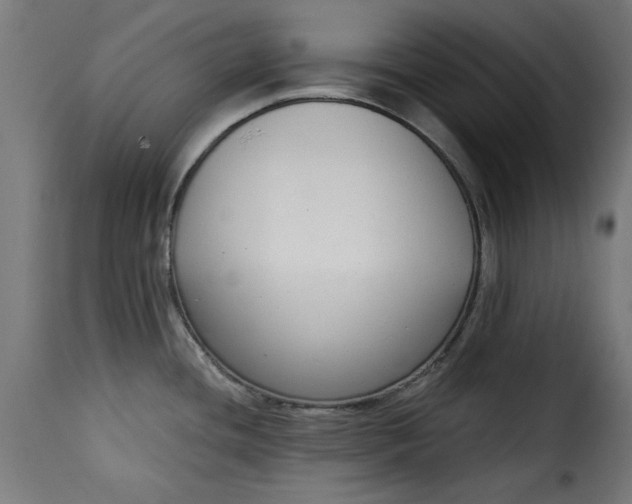 X0000115231436200911201547