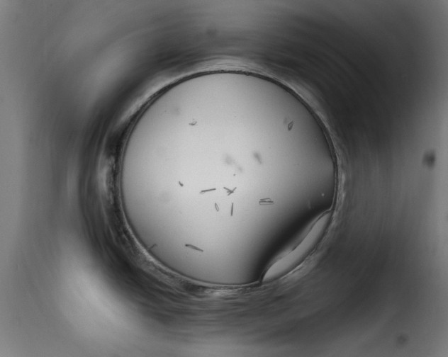 X0000115231438200911201547