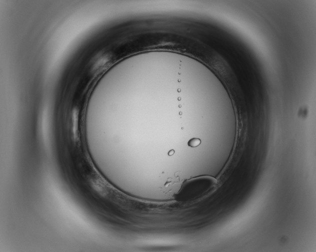 X0000115231439200911201547