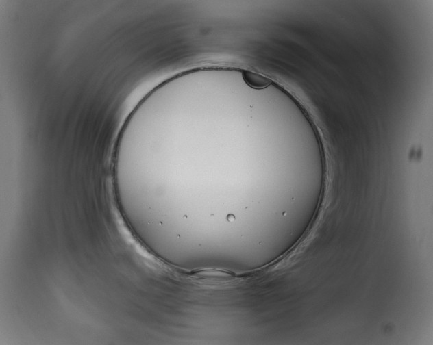 X0000115231440200911201547