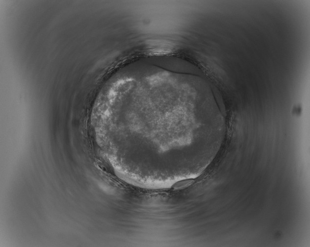 X0000115231441200911201546