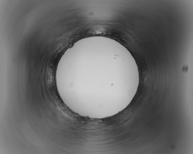 X0000115231442200911201546