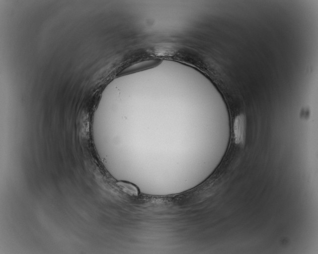 X0000115231443200911201546