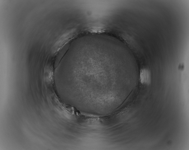 X0000115231444200911201546