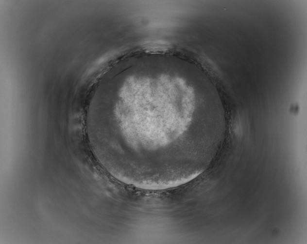 X0000115231445200911201546