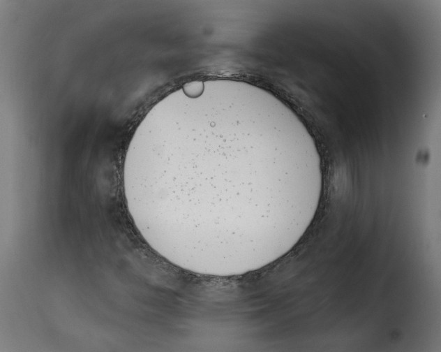 X0000115231446200911201546