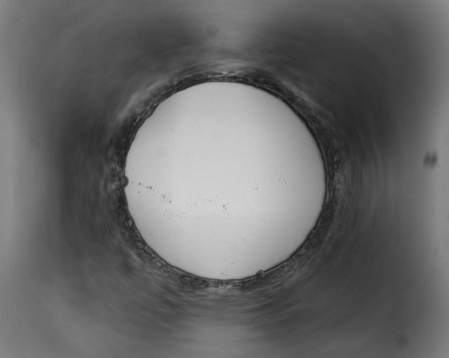 X0000115231447200911201546