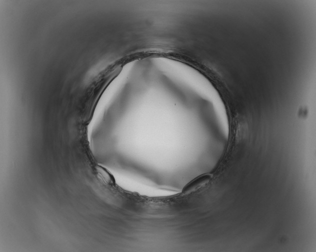 X0000115231448200911201546