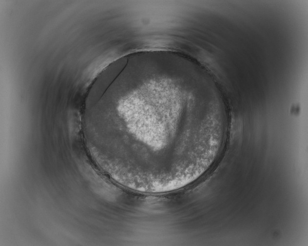 X0000115231449200911201546