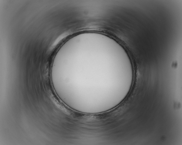 X0000115231450200911201546