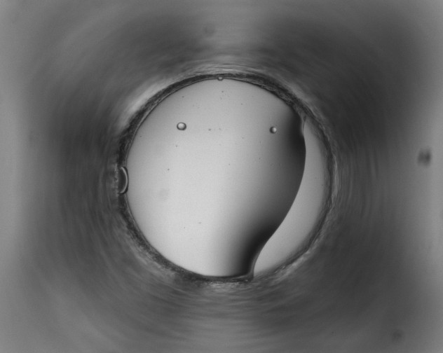 X0000115231453200911201546