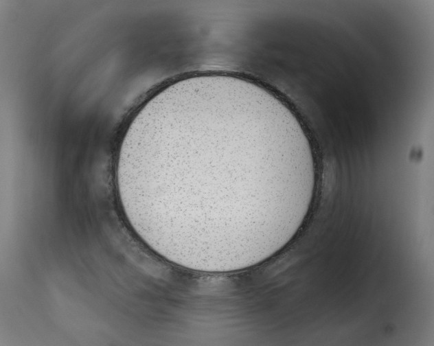 X0000115231454200911201546