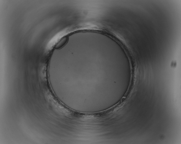 X0000115231455200911201546