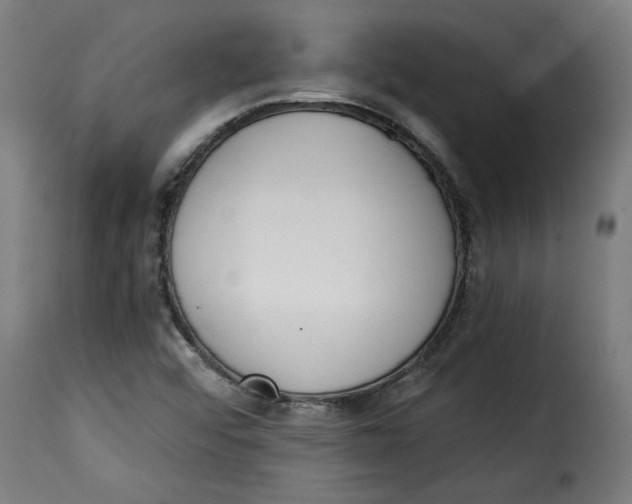 X0000115231456200911201546