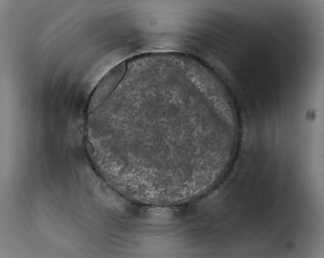 X0000115231457200911201546