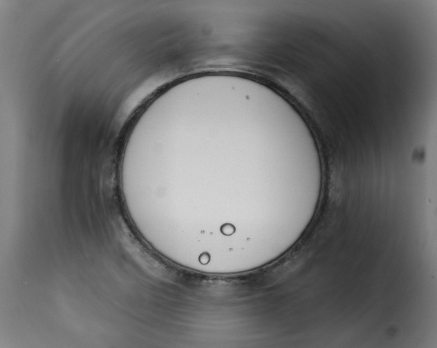 X0000115231458200911201546