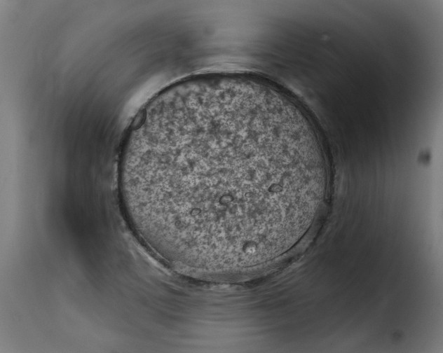 X0000115231459200911201546