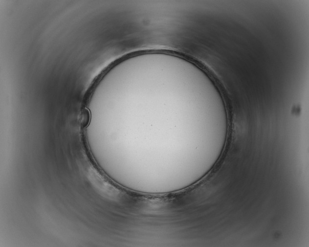 X0000115231460200911201546