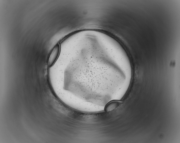 X0000115231461200911201546