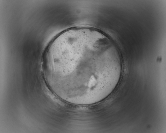 X0000115231462200911201546