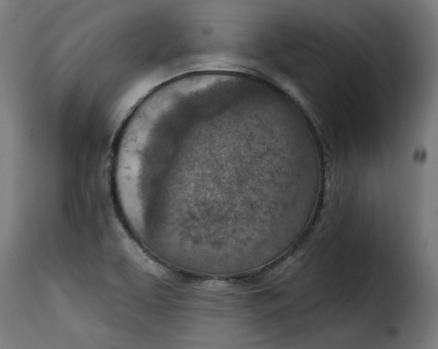 X0000115231463200911201546