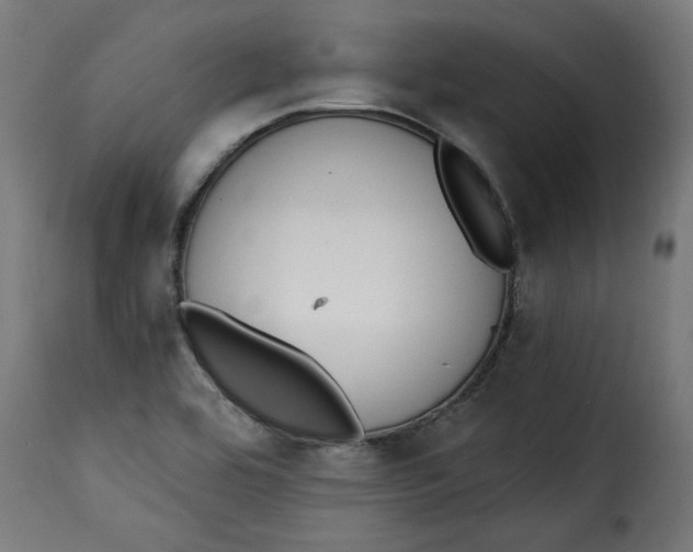 X0000115231464200911201546