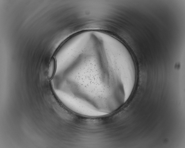 X0000115231465200911201546