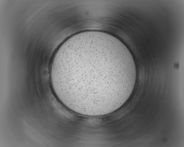 X0000115231466200911201546