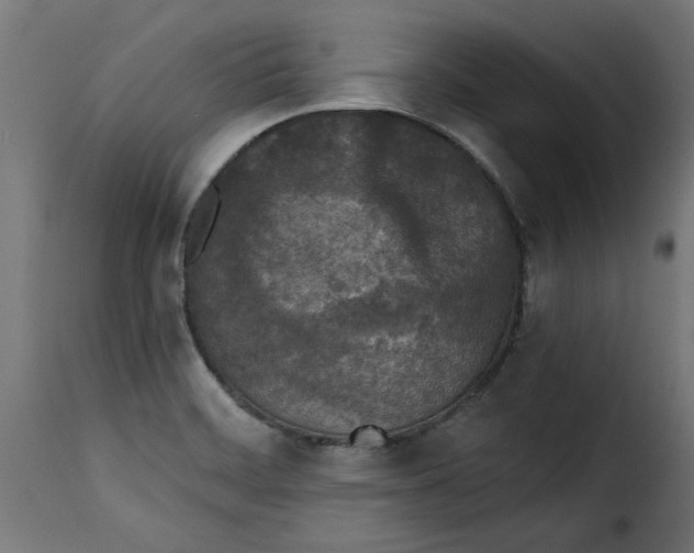 X0000115231468200911201546