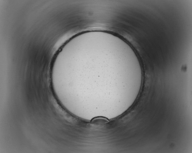 X0000115231469200911201546