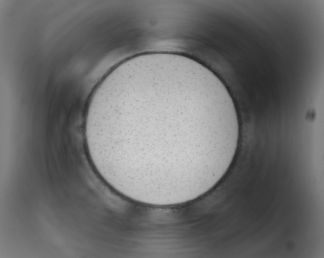 X0000115231470200911201546