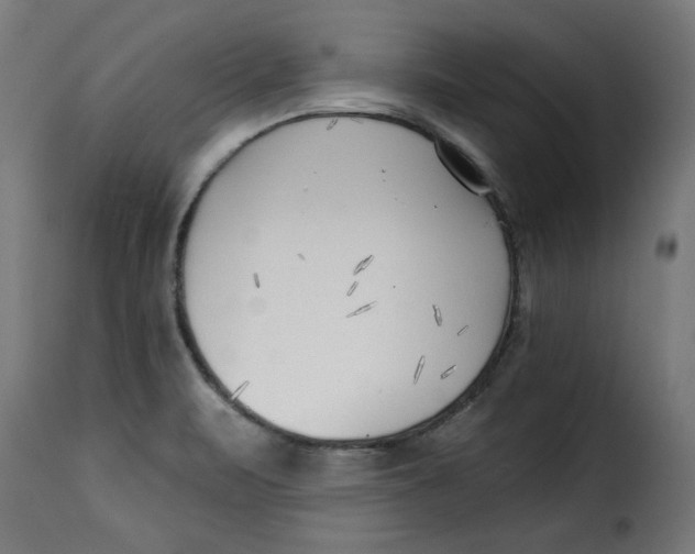 X0000115231471200911201546