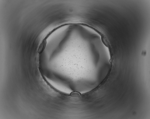 X0000115231472200911201546