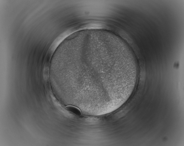 X0000115231473200911201546