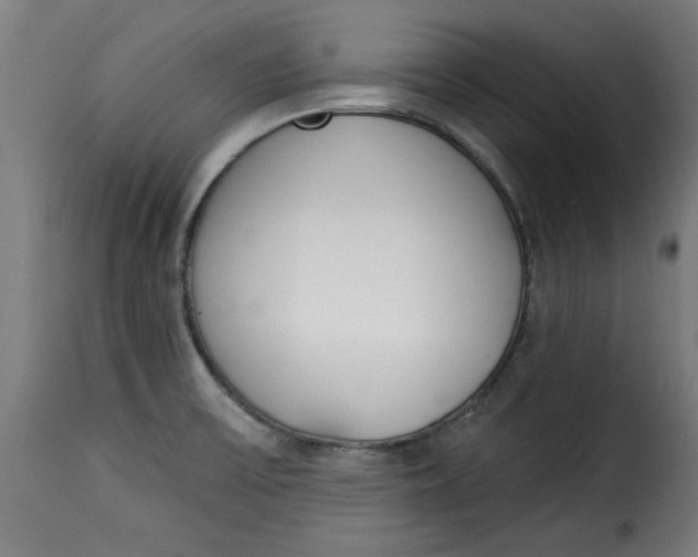 X0000115231475200911201546