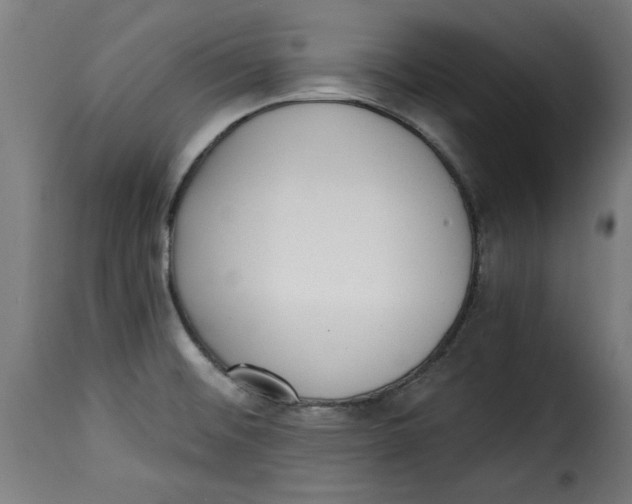 X0000115231476200911201546