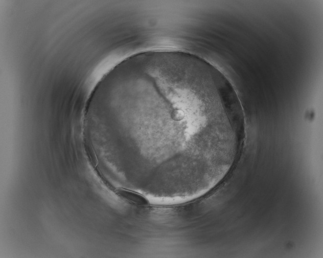 X0000115231477200911201546