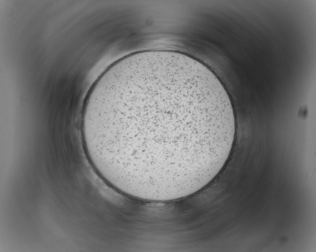 X0000115231478200911201546