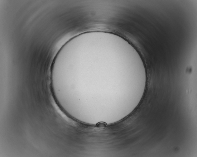 X0000115231479200911201546